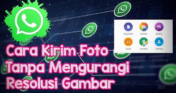 Cara Kirim Gambar Whatsapp Tanpa Menurunkan Kualitas Gambar Cara Kirim Gambar Whatsapp Tanpa Menurunkan Kualitas Gambar
